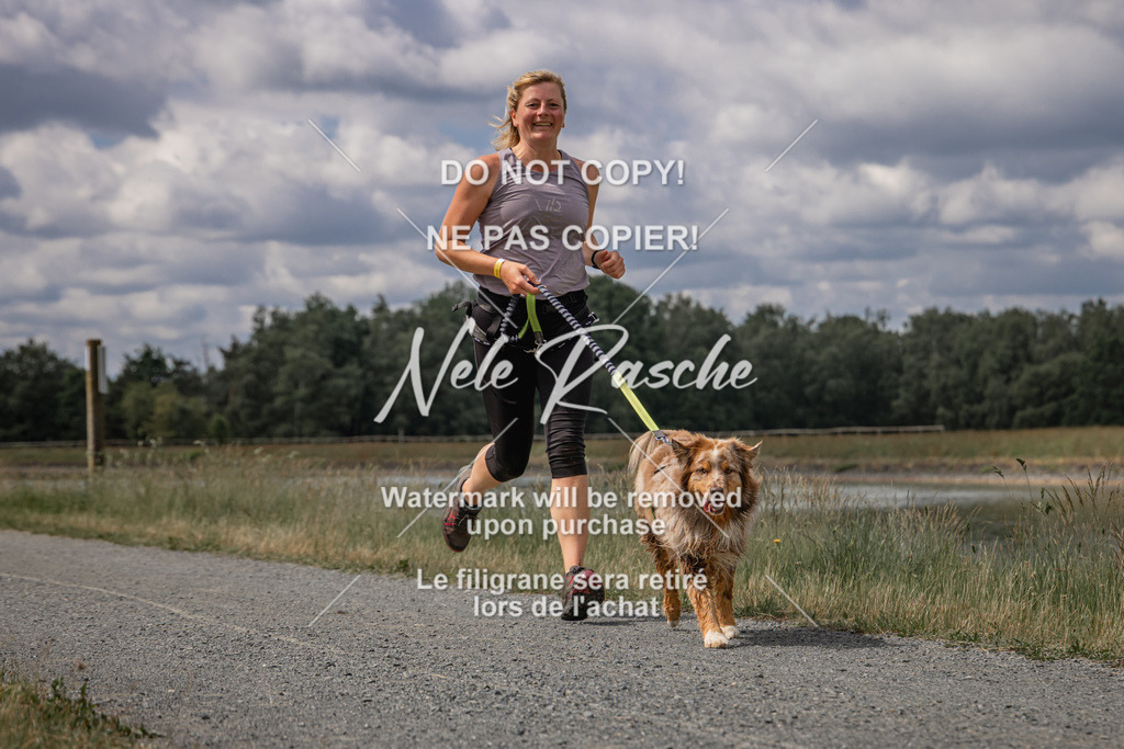 nelerasche_BuHu2026_SaCC1100-1200_89 | nelerasche