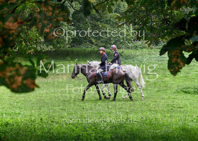 09-23 JAgd PerdölDSC01950_Marina Hewig | Fotografie, FotoArt, PferdesportArt, Pferdesportfotografie, Landschaftsfotografie, Reisefotografie, Reise, Pferde - Realisiert mit Pictrs.com
