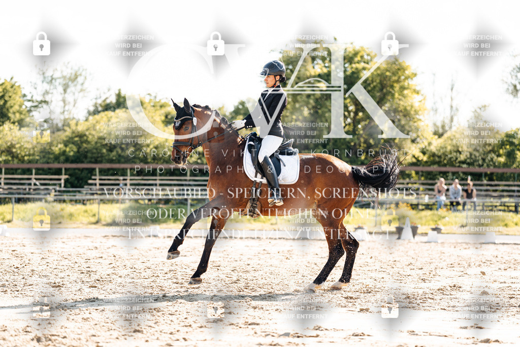 CK909868 | Turnierfotografie Pferdefotografie Trier Rheinland-Pfalz Pferdesport Reitsport Tierfotografie Sportfotografie Pferdevideo Pferdevideografie Equestrianvideography equestrianphotography  - Realisiert mit Pictrs.com