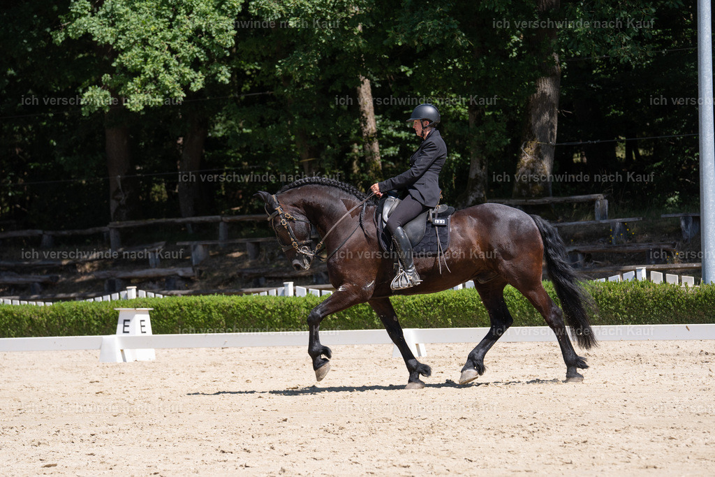 WS_DR_132_sinafilmart_IN09395 | working equitationturnier fotograf videograf stoibphotography marixx film working equitation deutschland reitsport turnierfotografie eventfotografie equestrian events