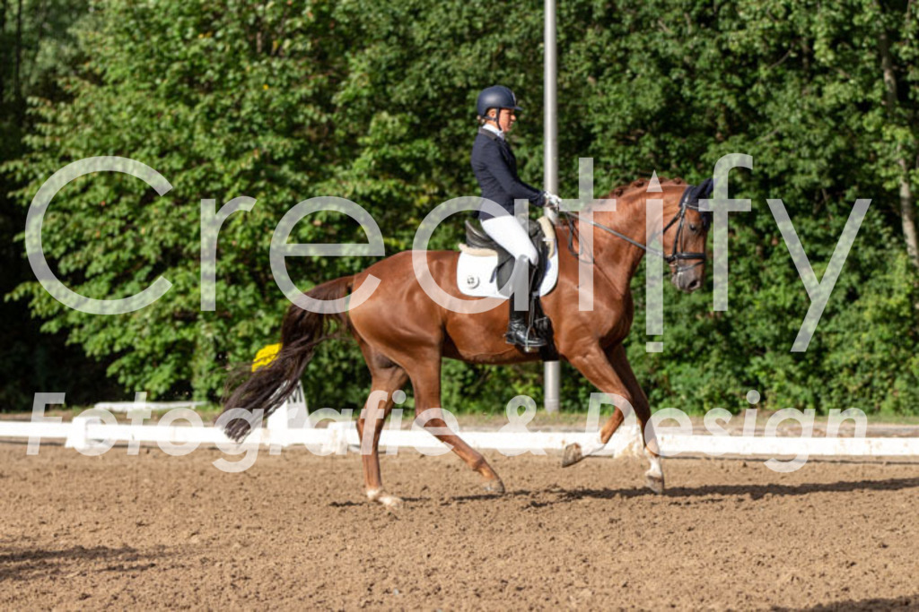 IMG_4756 | Creatify Fotografie