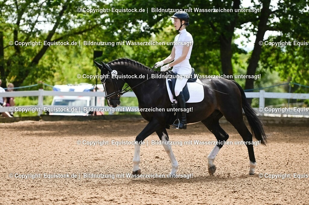 20230716_03_Dressurprfg. Kl.L - Tr._0016 | equistock