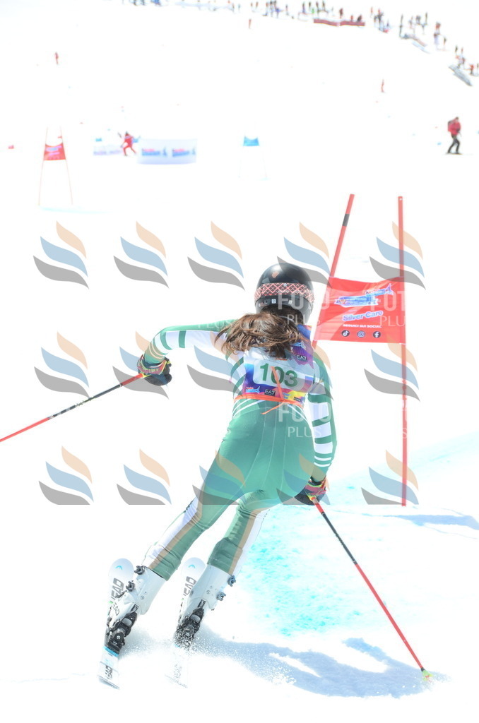 ALE_3870 | holidayphoto