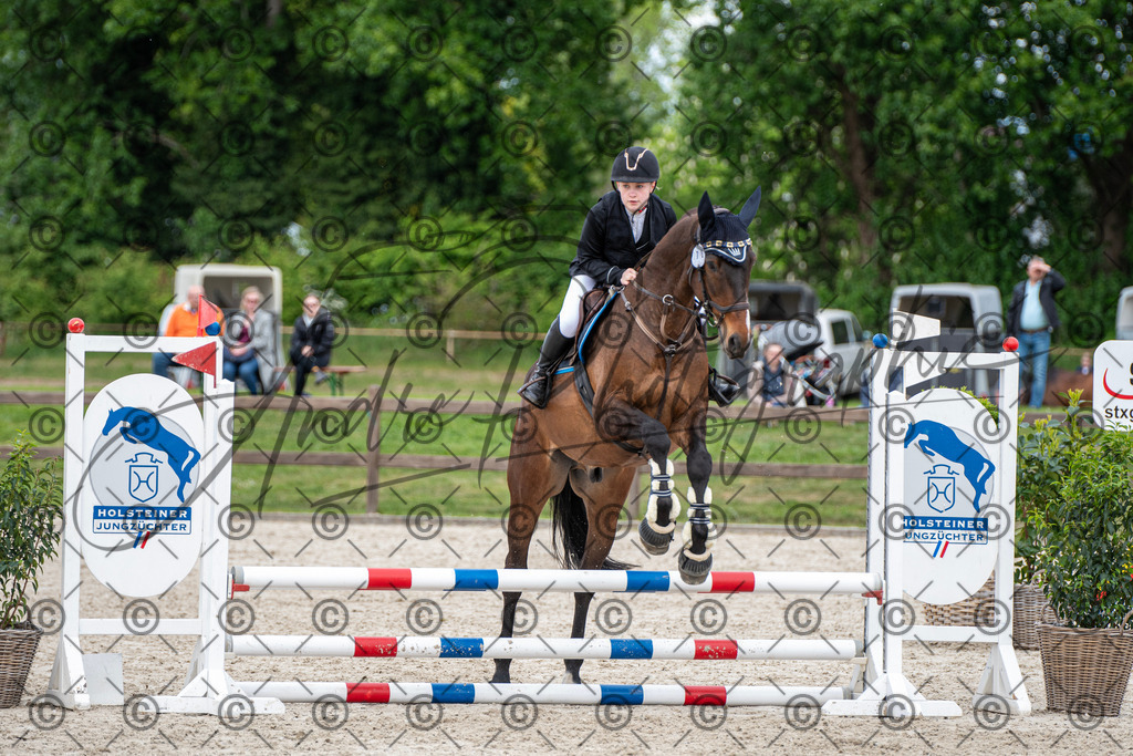 KPT_6154 | andre_photographic