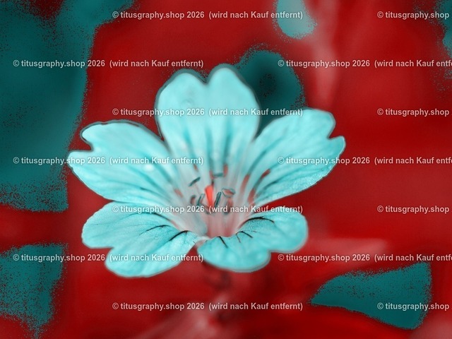 titusgraphy-P6080430_var-090 | Fotokunstarbeit aus der INSTAGRAM-Gallerie auf titusgraphy.eu - Realisiert mit Pictrs.com
