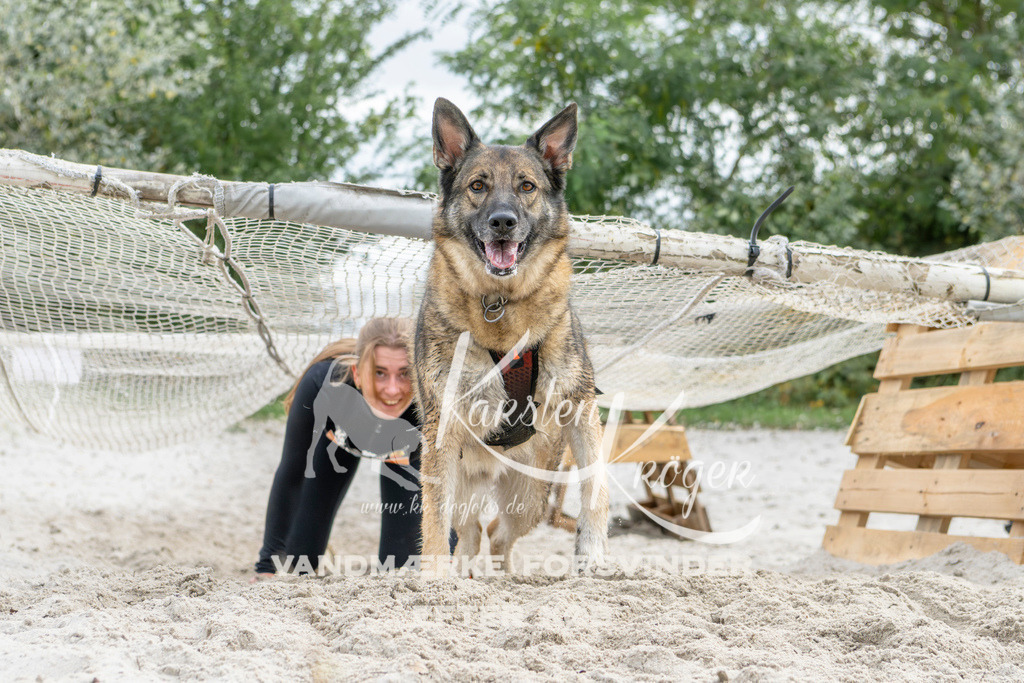 1520_ZZ94629 | kk-dogfotos