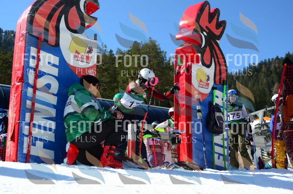 C6291 | holidayphoto