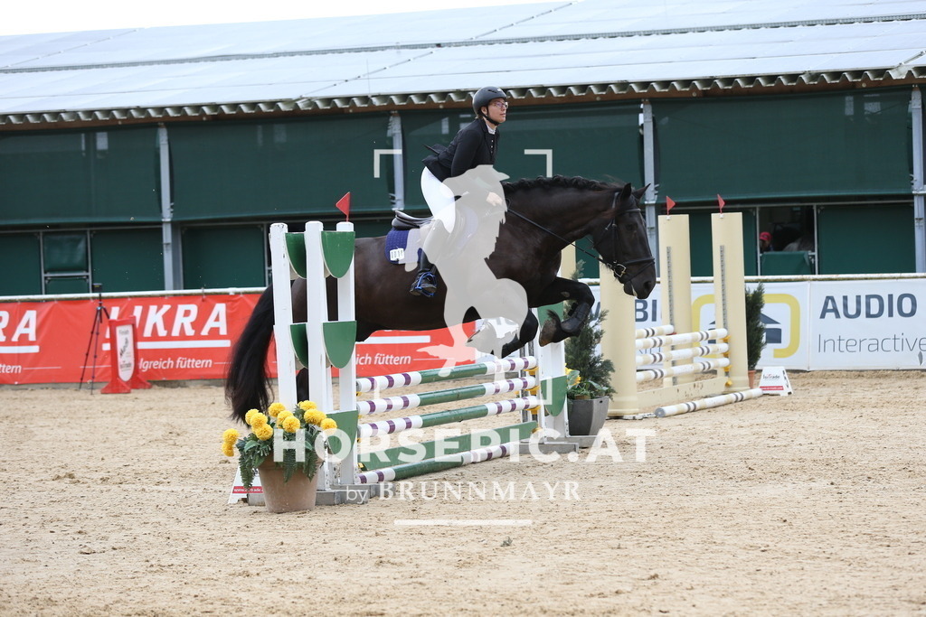 DL2Q4554 | Willkommen bei Brunnmayr - Design & Fotografie – Ihrem Spezialisten für Reitturniere und Pferdeveranstaltungen in Oberösterreich, Salzburg und Bayern! Seit über 17 Jahren sind wir leidenschaftlich dabei.
