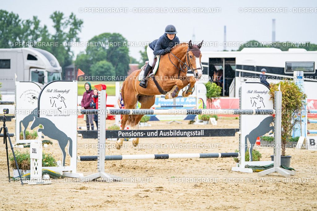 DSC07499 | Pferdegrafie