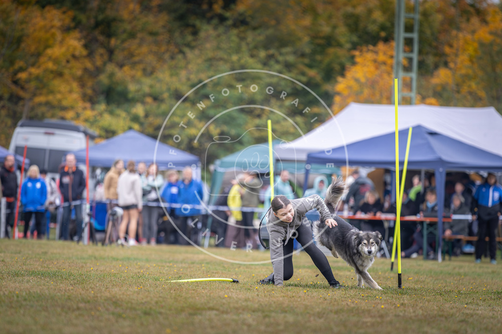 Pfotenfotografie_DV3A0910 | Hundefotografie, Tierfotograf, Pfotenfotografie, Fotoshooting Hund, Hunde Portrait, Hundesport, Hundeportraits, Heideshooting, Hunde, Sportfotograf, Hundefotograf, Turnierhundsport, THS,  - Realisiert mit Pictrs.com