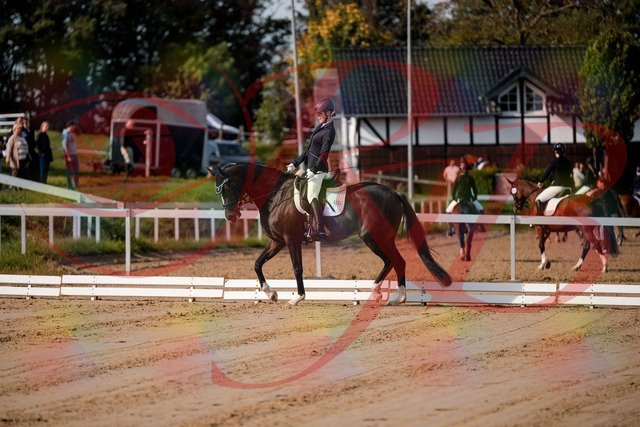 2026_10_03_Siefer-Hof_113328_Z63_19764232 | Professionelle Reitsport-, Turnier- und Eventfotografie von Robert Broda. Galerien mit ausgewählten und bearbeiteten Bildern direkt online ansehen und bestellen.