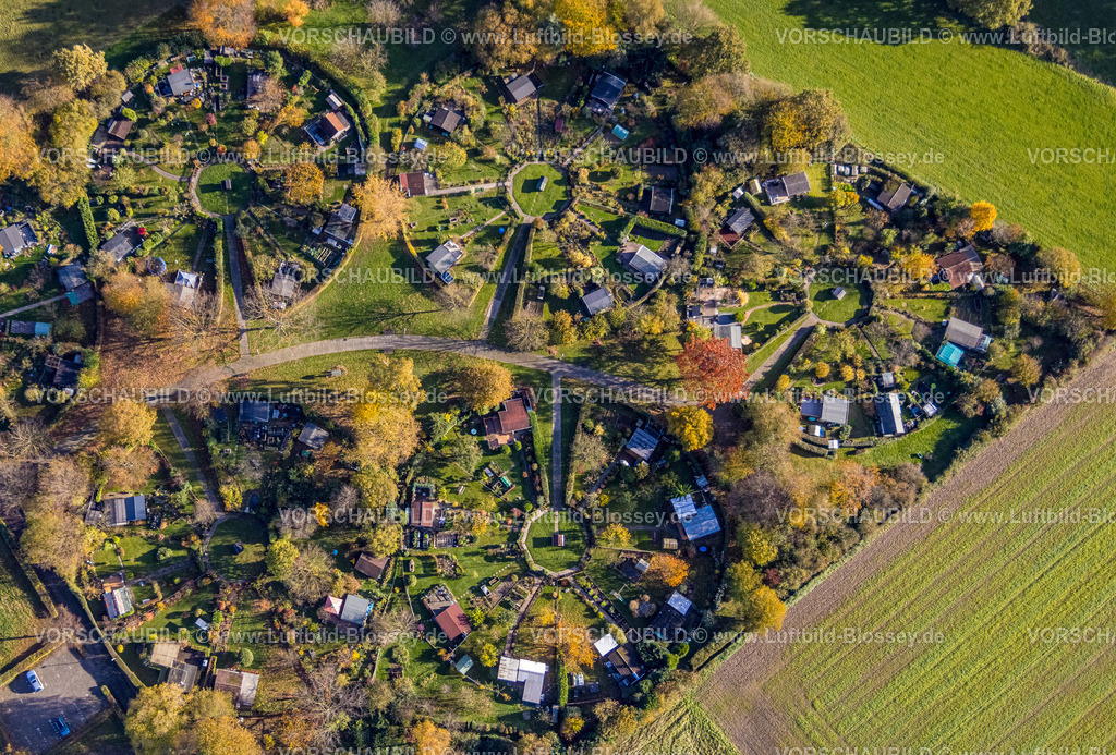 Witten231101292-2 | Luftbild, Kleingartenverein Am Heuweg e.V., Lauben und Häuser in kreisrunder Form geordnet, Gartenanlage mit Laubbäumen in Herbstfarben, Stockum, Witten, Ruhrgebiet, Nordrhein-Westfalen, Deutschland