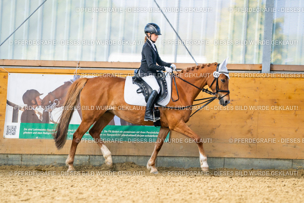 DSC02801 | Pferdegrafie