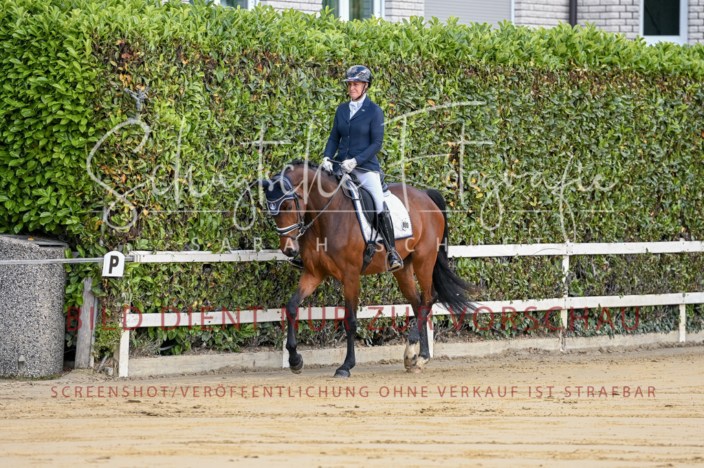 Schugtsche-Aluta25-48.Reitpferfdeprf.-2 | Schugtsche Fotografie - Realisiert mit Pictrs.com