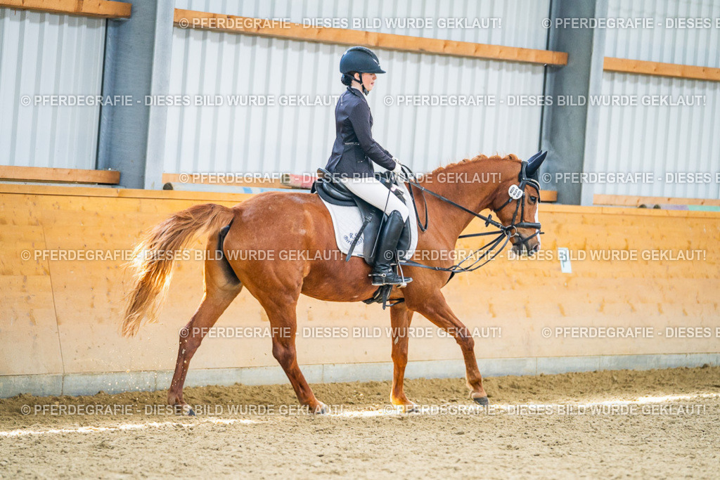 DSC04325 | Pferdegrafie