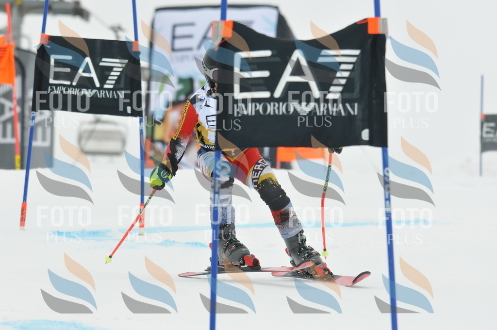 DSC_8558 | holidayphoto