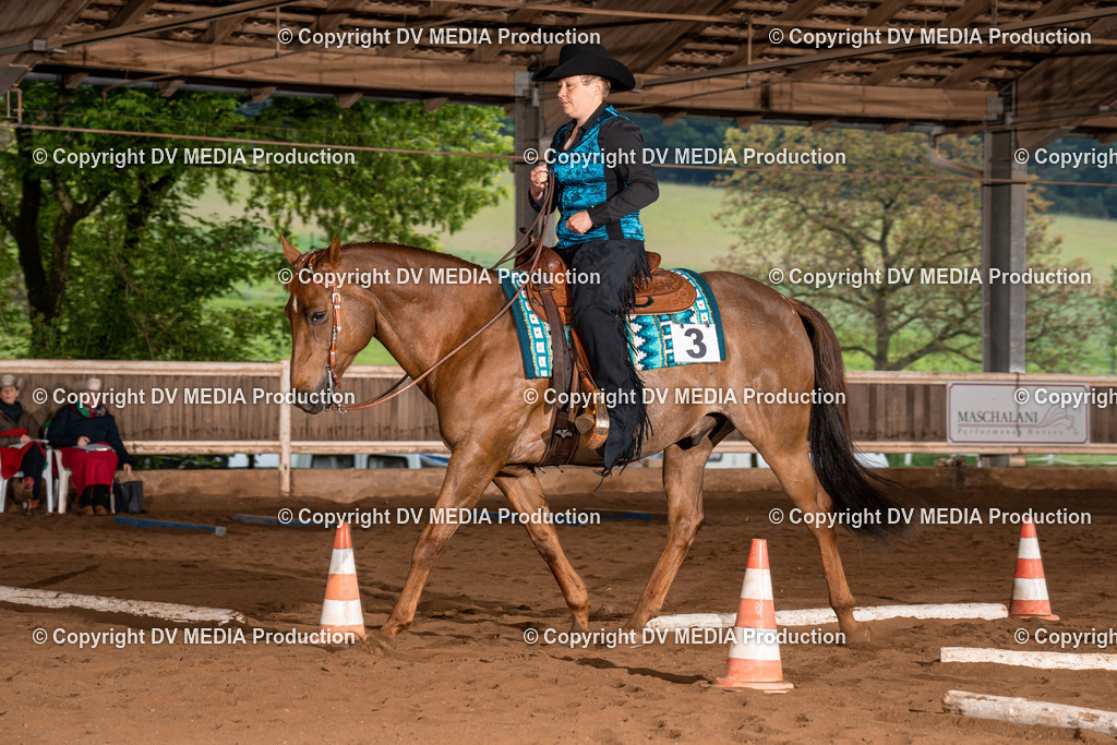 Erbach Tag 3-100 | dv-media-shop - Realisiert mit Pictrs.com