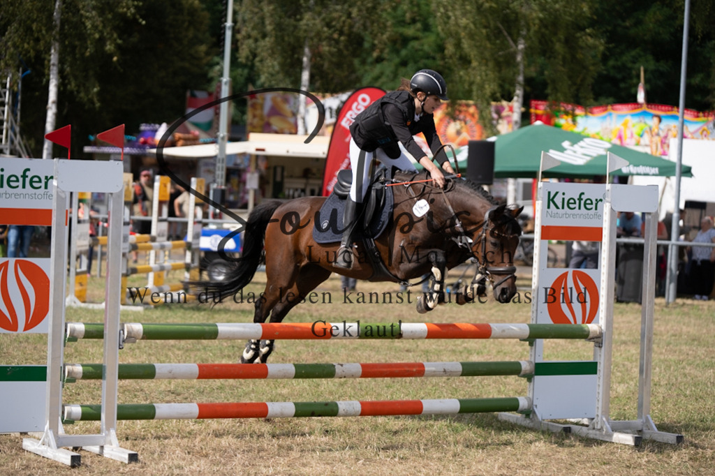 A7V08816 | Pferdefotograf