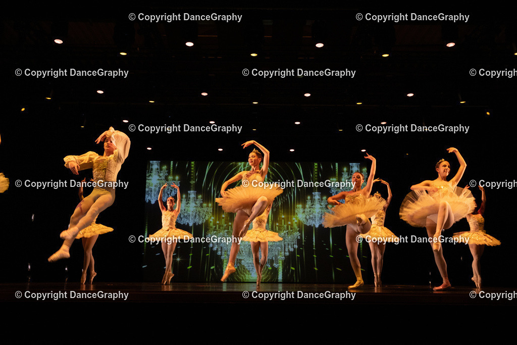 GPHY6500 | DanceGraphy - Realisiert mit Pictrs.com