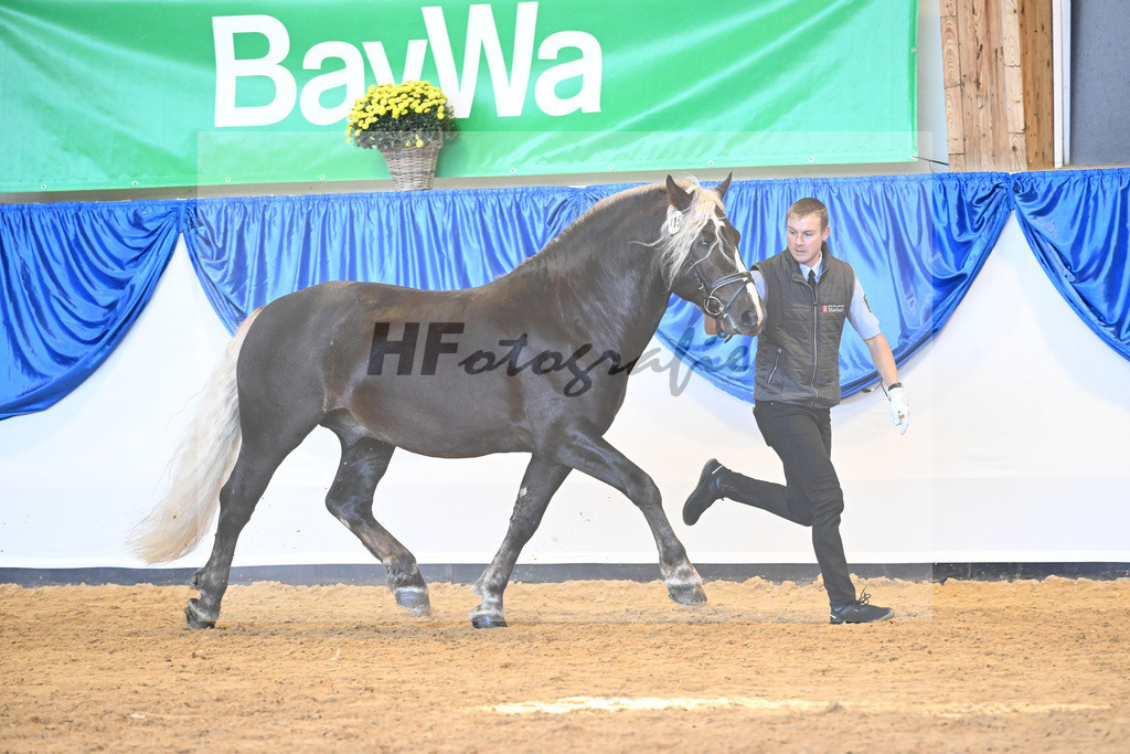 Kat-Nr. 115 Rodewald_HLG Marbach_53220820 | hf-fotografie - Realizzato con Pictrs.com