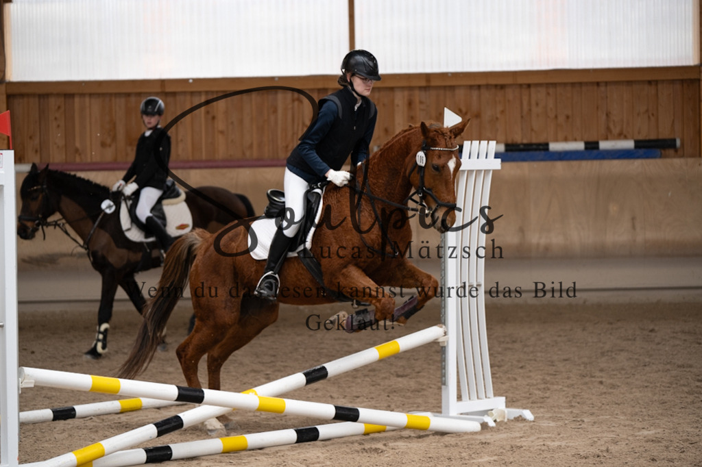 A7V00141 | Pferdefotograf