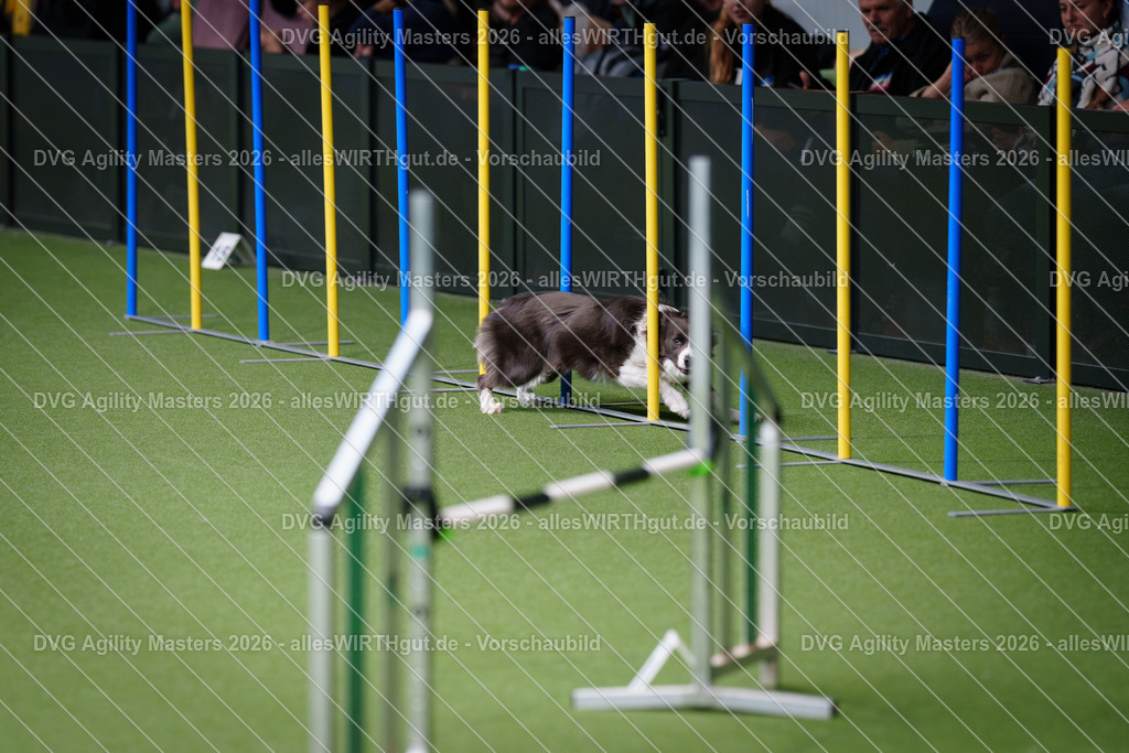 allesWIRTHgut_Tierfotografie-DVG_Agility_Masters_2026-10_47-7R504729 | Professionelle Tierfotografie in Mönchengladbach von Daniel Wirth (allesWIRTHgut). Liebevolle & natürliche Bilder von Hunden & Katzen für unvergessliche Erinnerungen.