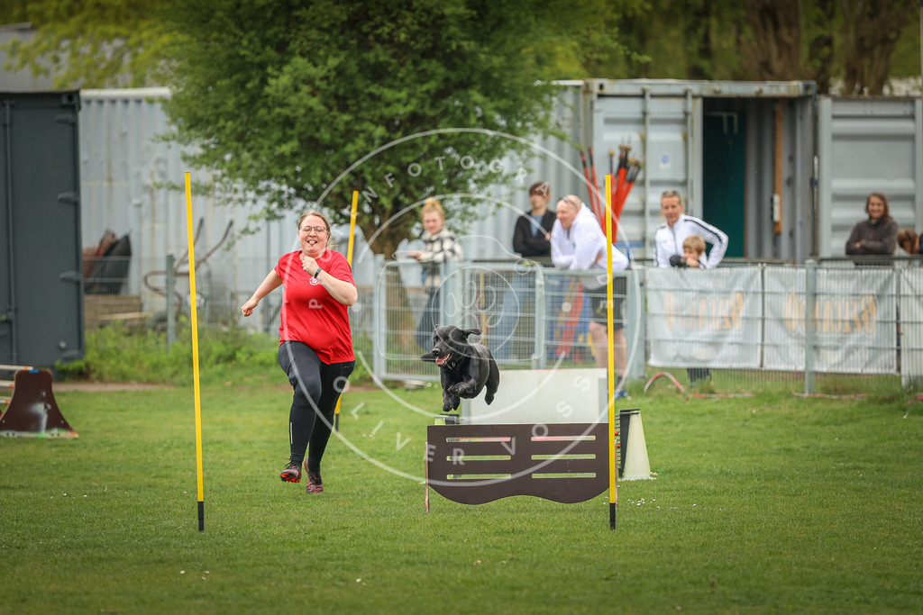 Pfotenfotografie_0L8A1837 | Hundefotografie, Tierfotograf, Pfotenfotografie, Fotoshooting Hund, Hunde Portrait, Hundesport, Hundeportraits, Heideshooting, Hunde, Sportfotograf, Hundefotograf, Turnierhundsport, THS,  - Realisiert mit Pictrs.com