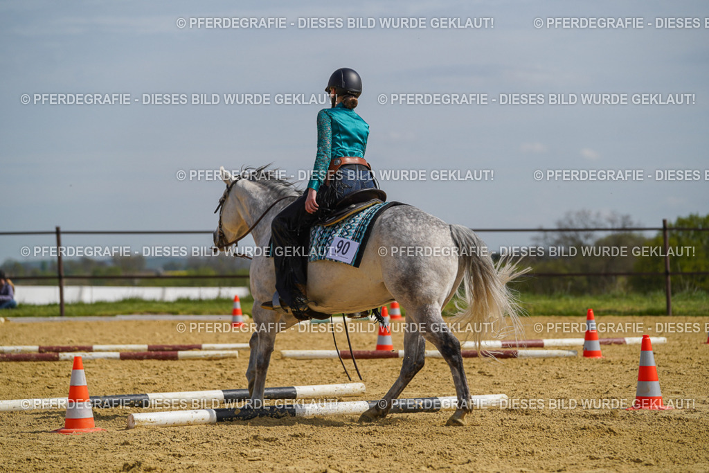 DSC04613 | Pferdegrafie