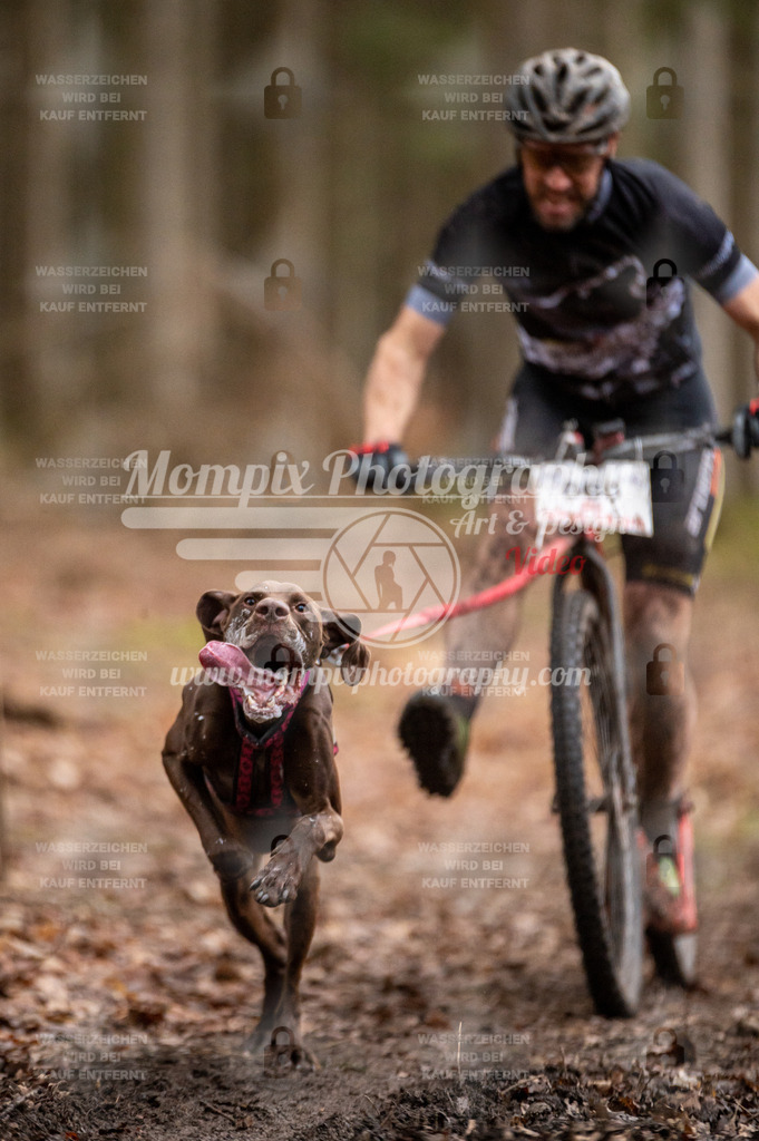 SPA_2023_DIM_Scooter-28 | PayLife