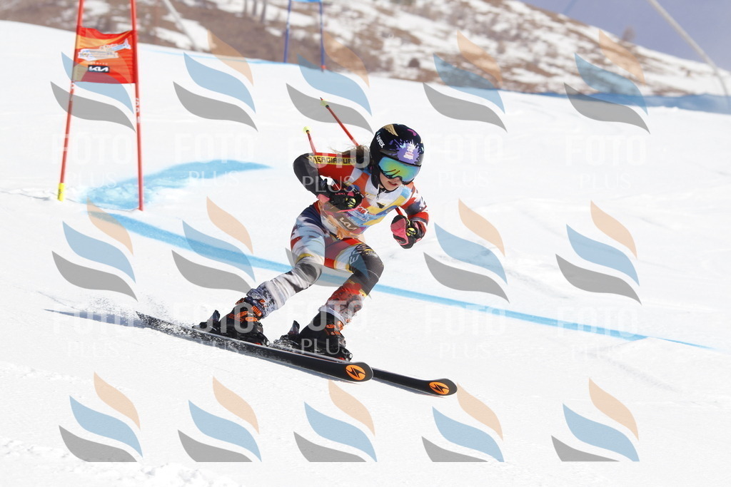 _U3G8527 | holidayphoto