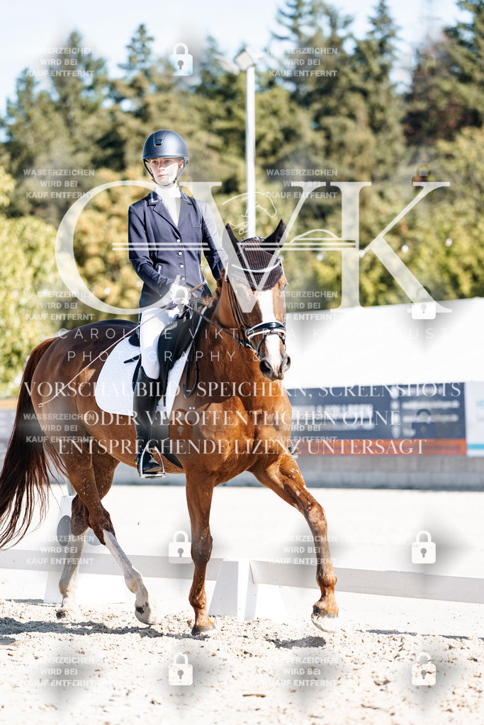 CK908495 | Turnierfotografie Pferdefotografie Trier Rheinland-Pfalz Pferdesport Reitsport Tierfotografie Sportfotografie Pferdevideo Pferdevideografie Equestrianvideography equestrianphotography  - Realisiert mit Pictrs.com