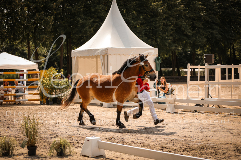 2.Sa00022 | Leoni Ertmer Photography - Realisiert mit Pictrs.com