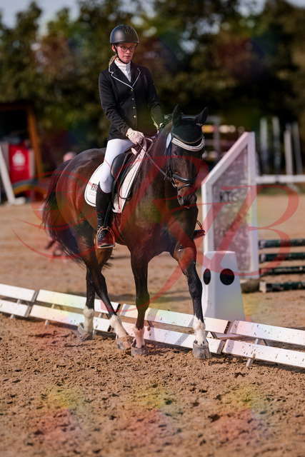 2026_10_03_Siefer-Hof_132520_Z81_75549695 | Professionelle Reitsport-, Turnier- und Eventfotografie von Robert Broda. Galerien mit ausgewählten und bearbeiteten Bildern direkt online ansehen und bestellen.