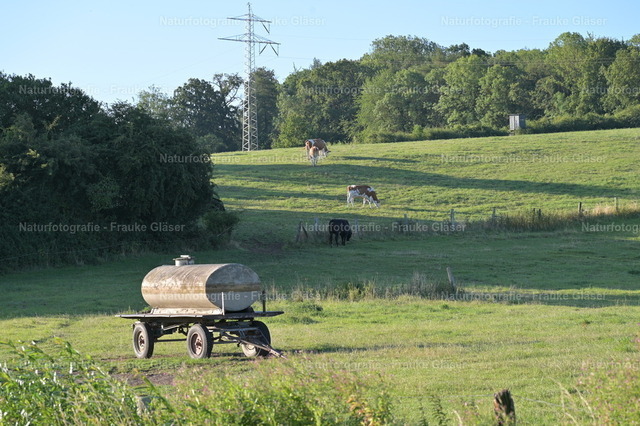 F.Gläser_0632 | Naturfotografie Frauke Gläser - Realisiert mit Pictrs.com