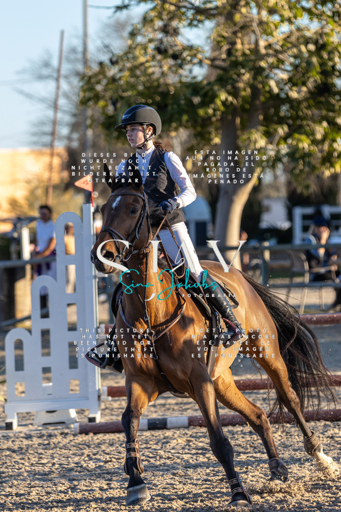 IMG_2822 | s-jay-photography - Realisiert mit Pictrs.com