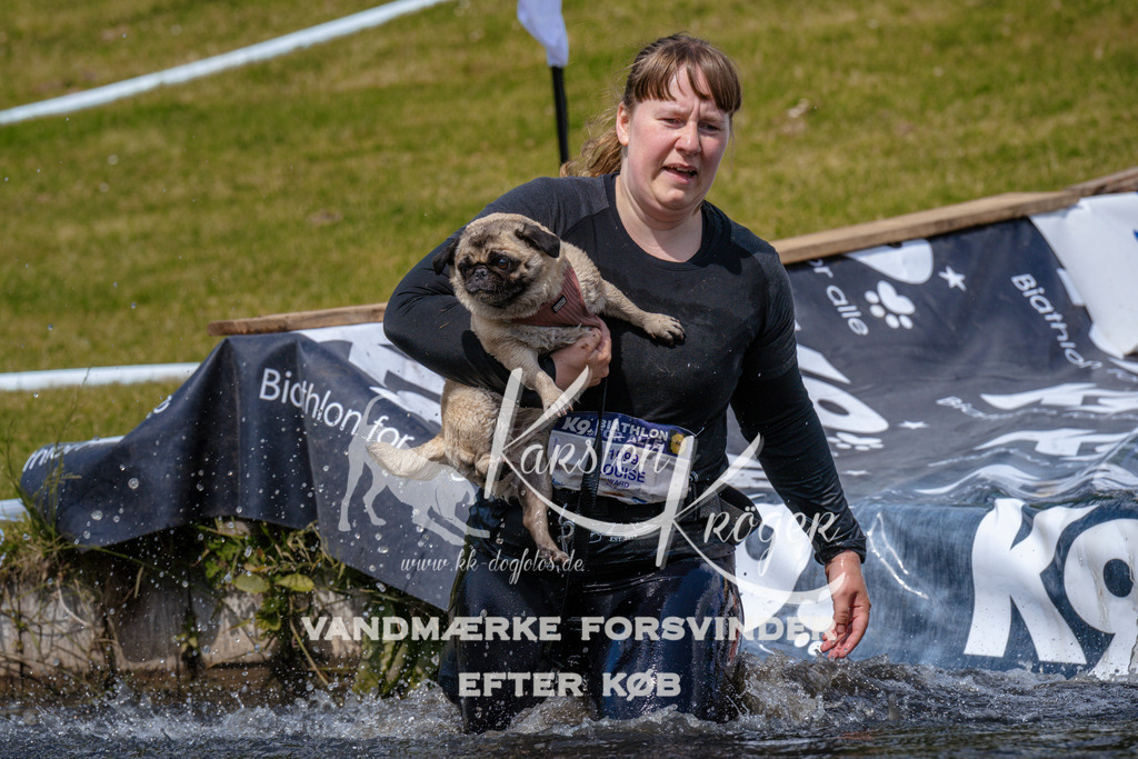 _ZZ990071049 | kk-dogfotos