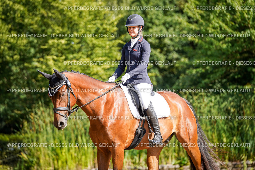 DSC06381 | Pferdegrafie