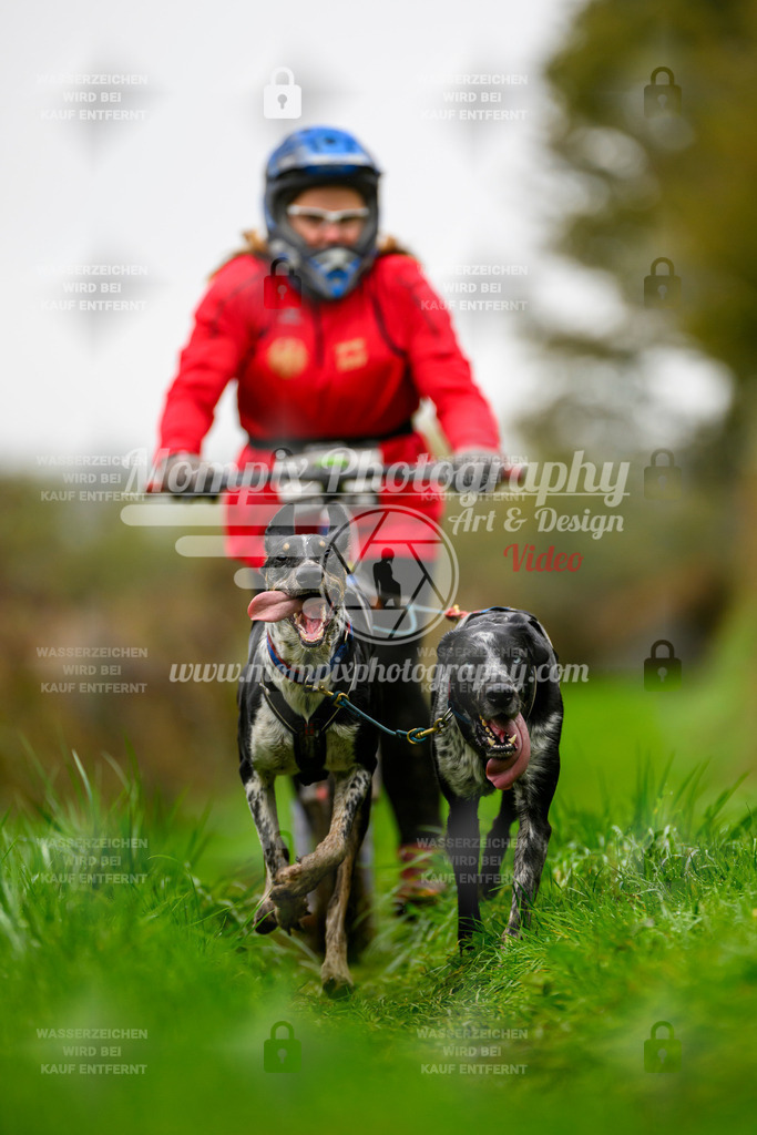 MompixPhotography_20TSB_E8_DS2-25 | PayLife