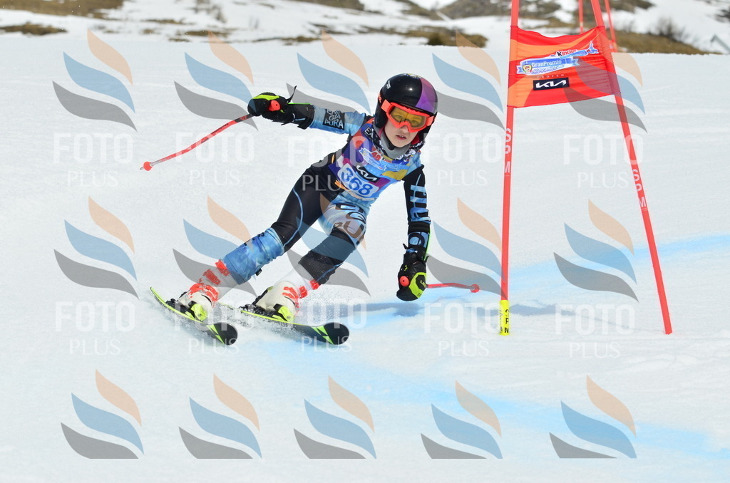 _ELE2988 | holidayphoto