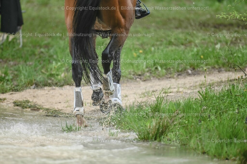 20230513_CCI4_Gelände_0265 | equistock