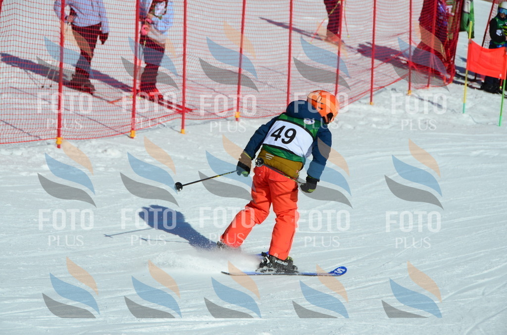 C5183 | holidayphoto