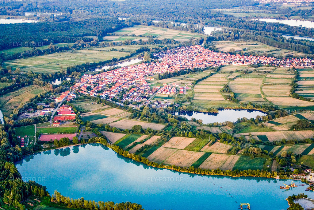 Luftbild: Dorfansicht von Westen am Epplesee in Neuburg am Rhein im Bundesland Rheinland-Pfalz in Deutschland. Foto: IMG_2662.jpg vom 09.06.2006 durch Werner Riehm/FLY-FOTO.de