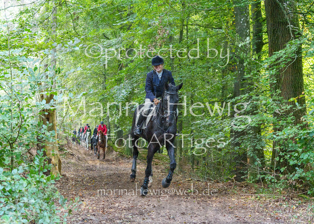Jagd Perdoel_MarinaHewigMCH04764 | Fotografie, FotoArt, PferdesportArt, Pferdesportfotografie, Landschaftsfotografie, Reisefotografie, Reise, Pferde - Realisiert mit Pictrs.com
