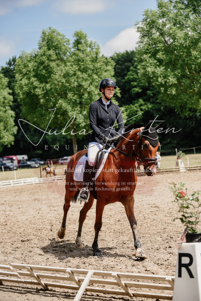 DSC_1762 | Pferde- und Turnierfotografie in Westsachsen. Pferdeportraits, Auftragszeichnungen und intuitive Kunst.
