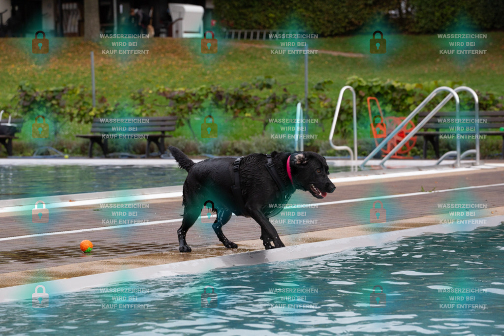 _HP_7522_1000o | HetPix, HetPix Fotodesign, Fotografie, Fotodesign, Webshop, Sportfotografie, Portraitfotografie, Onlineshop, Sportfotografie, Polch, Motorsportfotografie, Eventfotografie