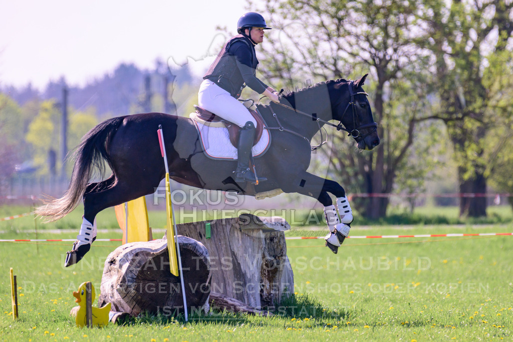 18042026-Gernlinden-03-0385 | Fokus Hufschlag Fotografie - Realisiert mit Pictrs.com