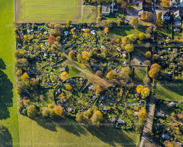 Witten231101279 | Luftbild, Kleingartenverein Am Heuweg e.V., Lauben und Häuser in kreisrunder Form geordnet, Gartenanlage mit Laubbäumen in Herbstfarben, Stockum, Witten, Ruhrgebiet, Nordrhein-Westfalen, Deutschland