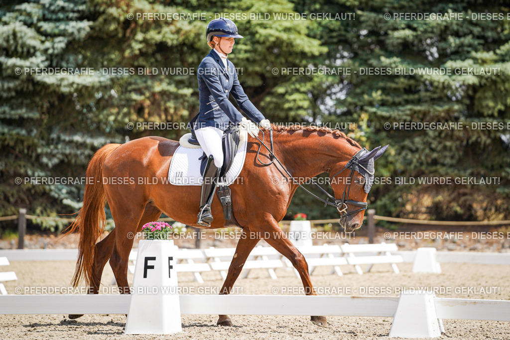 DSC01032 | Pferdegrafie