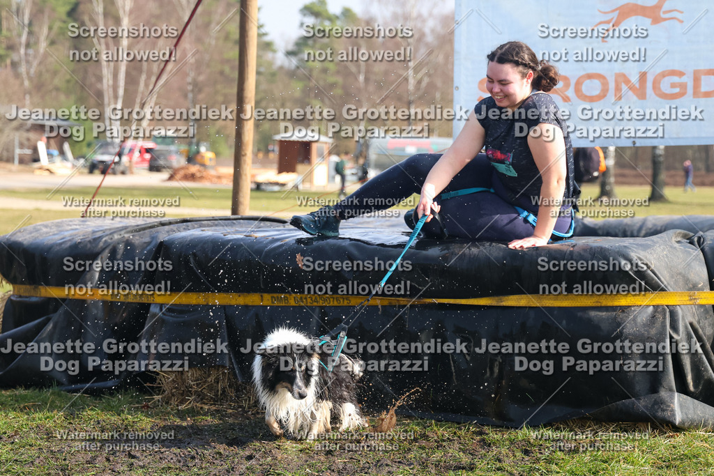 Dog Paparazzi - Strongdog North Mrz26-1626 | Dog Paparazzi Jeanette Grottendiek Fotografie & Videografie - Realisiert mit Pictrs.com