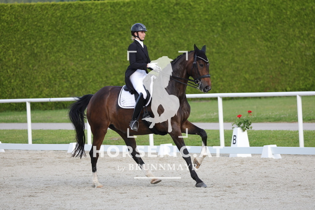 0P6A4326 | Willkommen bei Brunnmayr - Design & Fotografie – Ihrem Spezialisten für Reitturniere und Pferdeveranstaltungen in Oberösterreich, Salzburg und Bayern! Seit über 17 Jahren sind wir leidenschaftlich dabei.